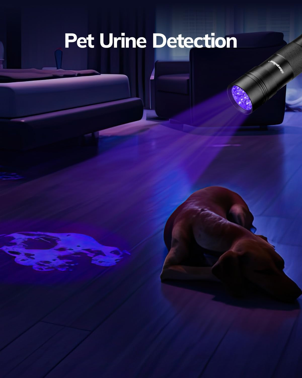 Blacklight Flashlights Uv Flashlight,12 LED 395Nm Ultraviolet Blacklight 2 PCS Black Light Flashlight Mini, Torch Light Pet Urine Detector Light for Dog/Cat, Dry Stains,Resin Curing,Bed Bug